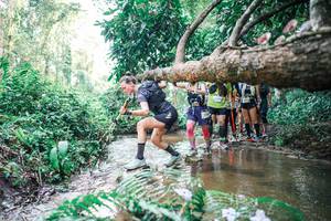 BIB: 
                            <button type="button" onclick="openModal(25473826)" class="btn btn-primary btn-sm float-right btn-popup" data-toggle="modal" data-target=".modal-high-quality">
                        <i class="fas fa-shopping-cart"></i> Add to Cart
                    </button>
                                            <button type="button" onclick="isThisMe(25473826, true)" class="btn btn-success btn-sm float-right btn-popup btn-isme hidden" data-toggle="tooltip" data-placement="bottom" title="นี่คือรูปของคุณใช่ไหม คลิกที่นี่เพื่อเอาเข้าอัลบั้ม">
                        <i class="fas fa-plus"></i> Add to album
                    </button>
                    <button type="button" onclick="isThisMe(25473826, false)" class="btn btn-warning btn-sm float-right btn-popup btn-isnotme hidden">
                        <i class="fas fa-ban"></i> Remove from album
                    </button>